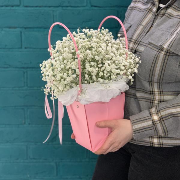  5 гипсофил "Белый танец"