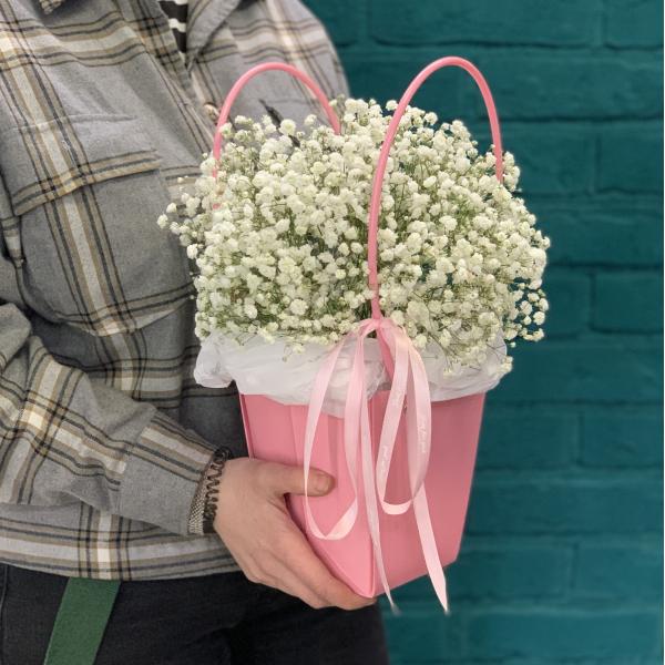  5 гипсофил "Белый танец"