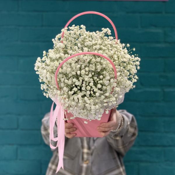  5 гипсофил "Белый танец"