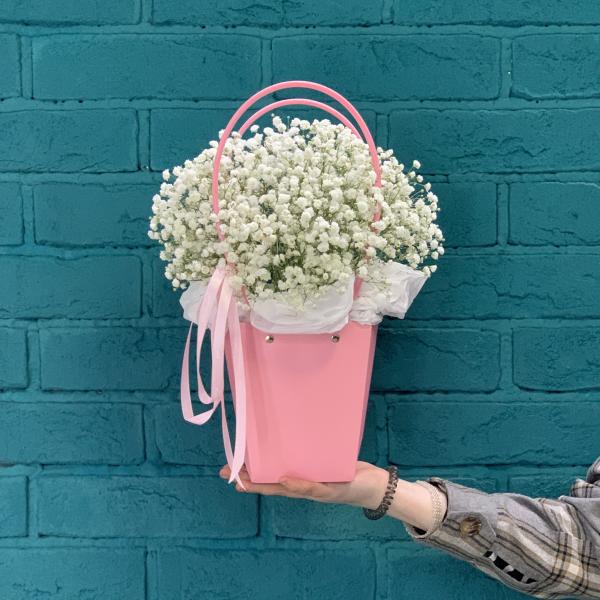  5 гипсофил "Белый танец"