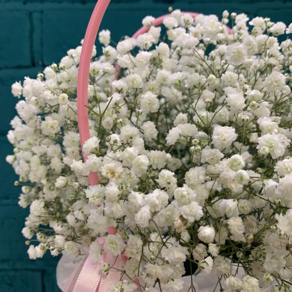  5 гипсофил "Белый танец"