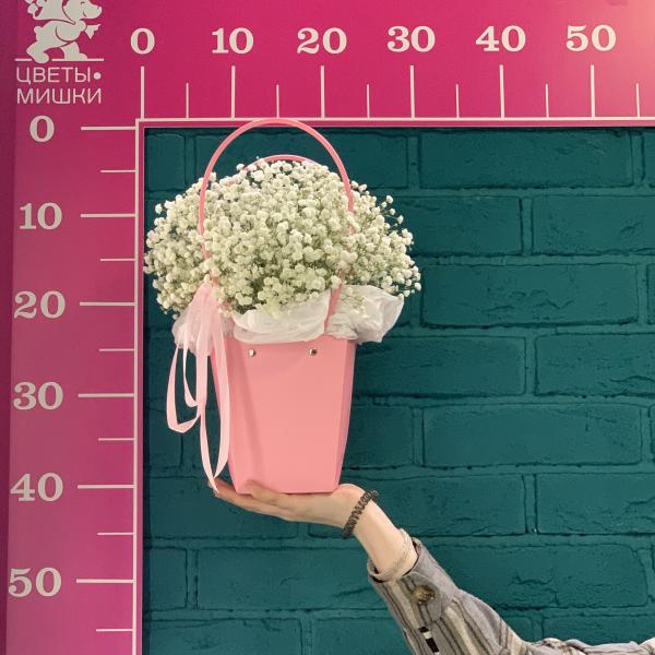  5 гипсофил "Белый танец"