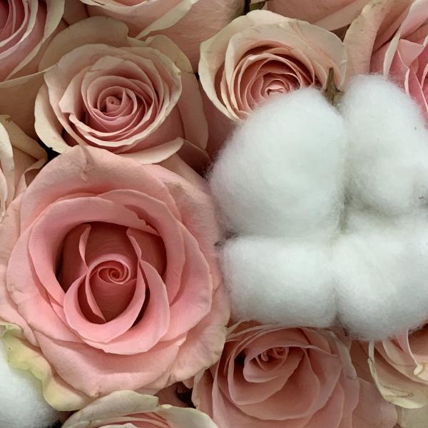 Роза и хлопок "Весенний прилив"