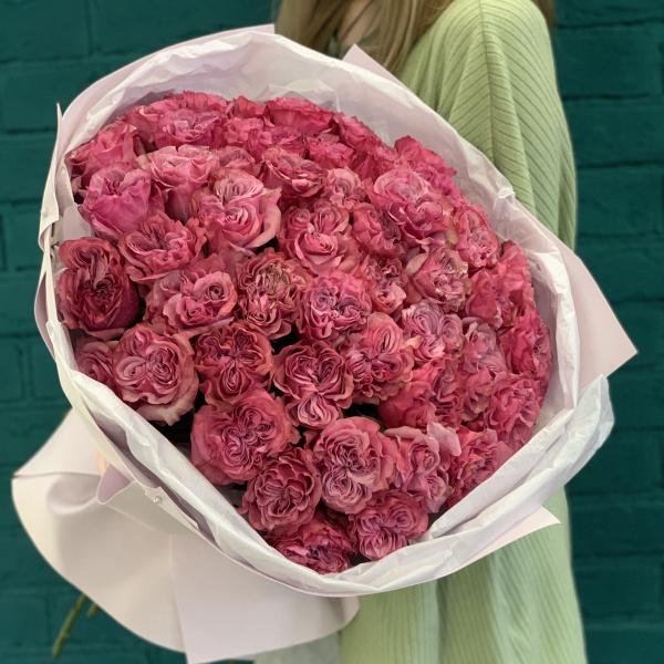 51 пионовидная роза "Империя красоты"