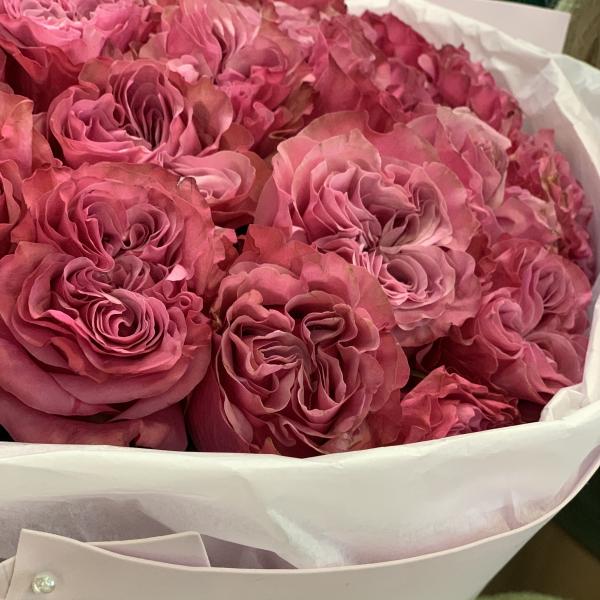 51 пионовидная роза "Империя красоты"