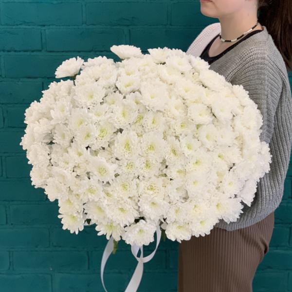 31 белая хризантема "Облачко" 