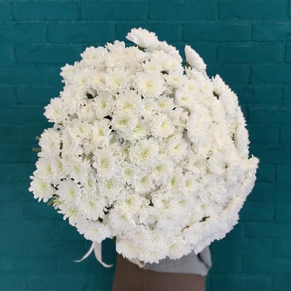 31 белая хризантема "Облачко" 