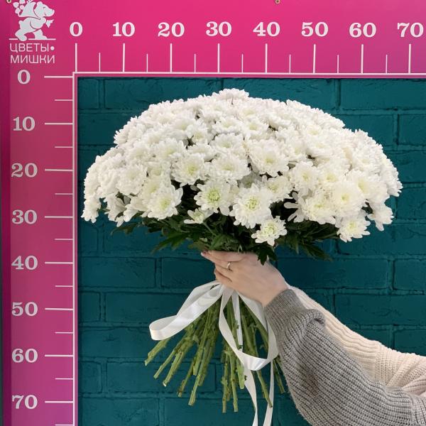 31 белая хризантема "Облачко" 