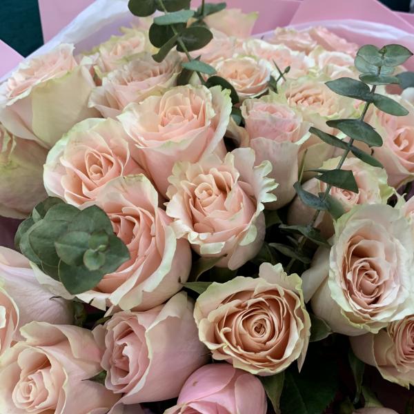 Роза и эвкалипт "Аура"