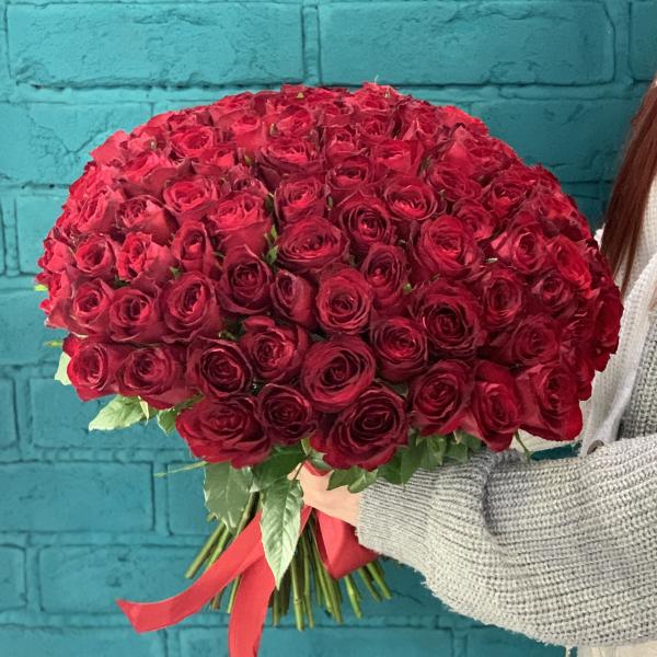 101 красная роза "Роскошь Венеции"