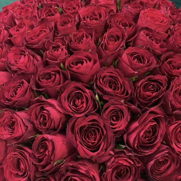 101 красная роза "Роскошь Венеции"