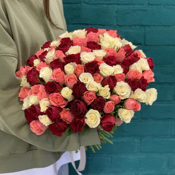 101 роза "Шелест"