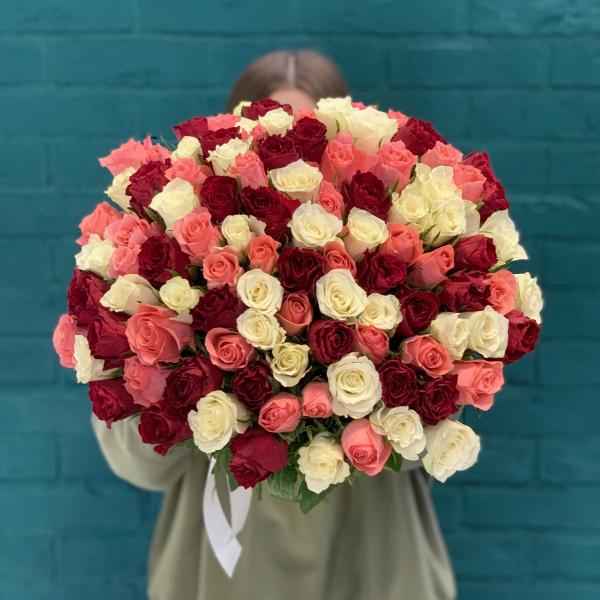 101 роза "Шелест"