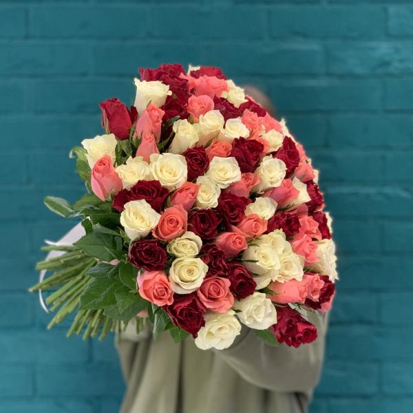 101 роза "Шелест"