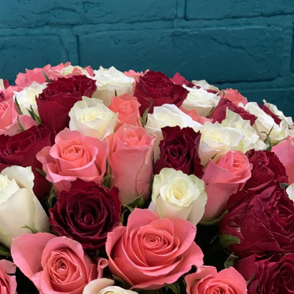 101 роза "Шелест"