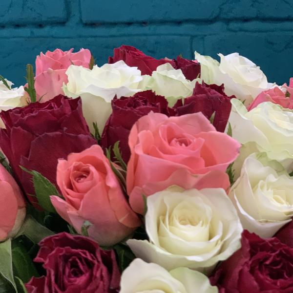 51 роза "Метаморфозы"