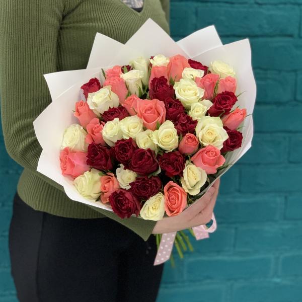 51 роза "Майя"