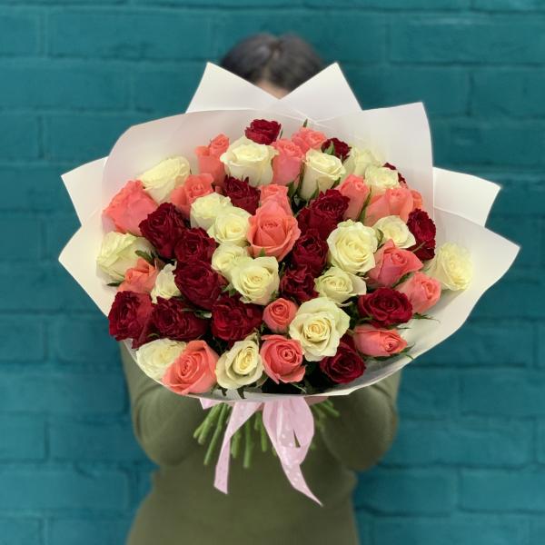 51 роза "Майя"