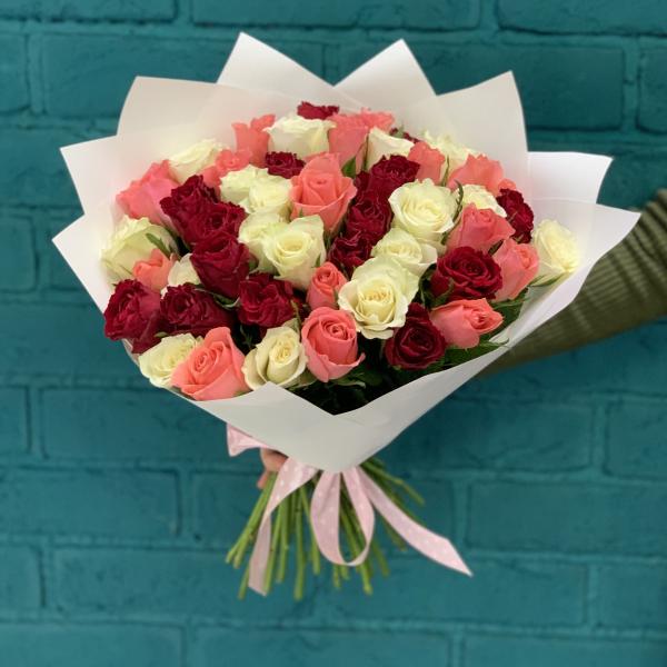 51 роза "Майя"