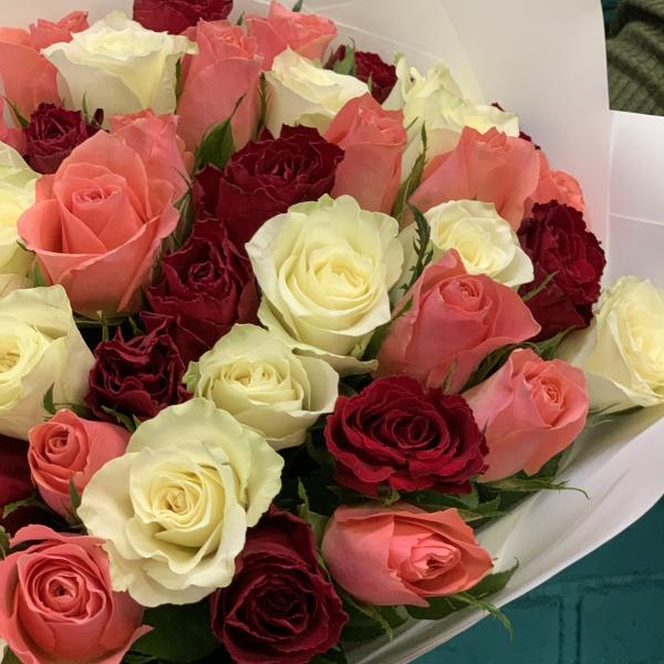 51 роза "Майя"