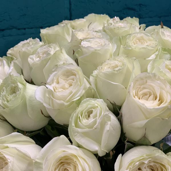 35 пионовидных роз "Изобелла"