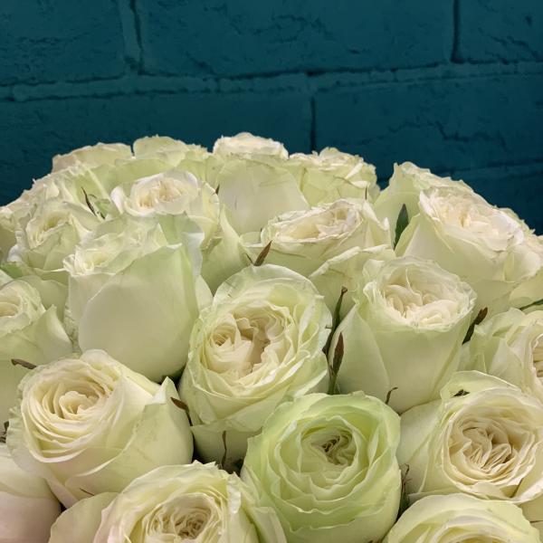 51 пионовидная роза "Белла"