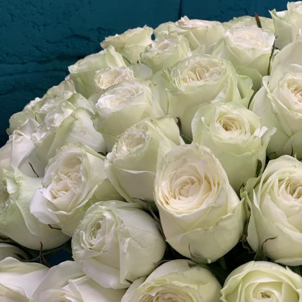 45 пионовидных роз "Аура"