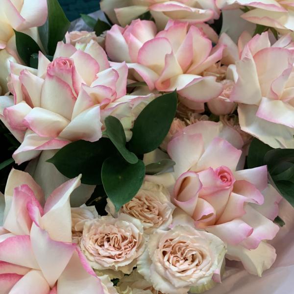 Французская и кустовая роза "Чио-рио"