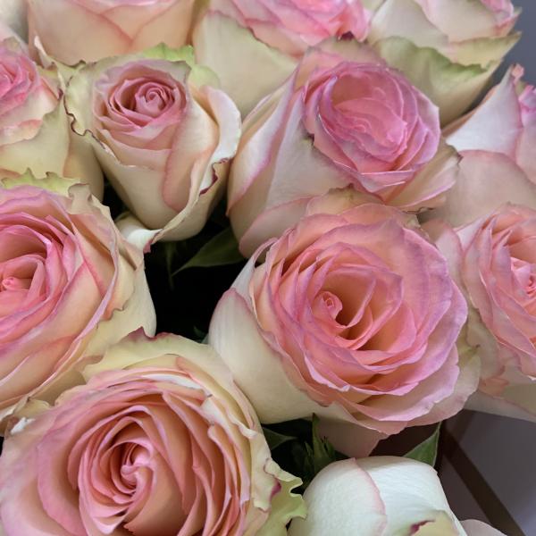 13 розовых роз "Арфа"