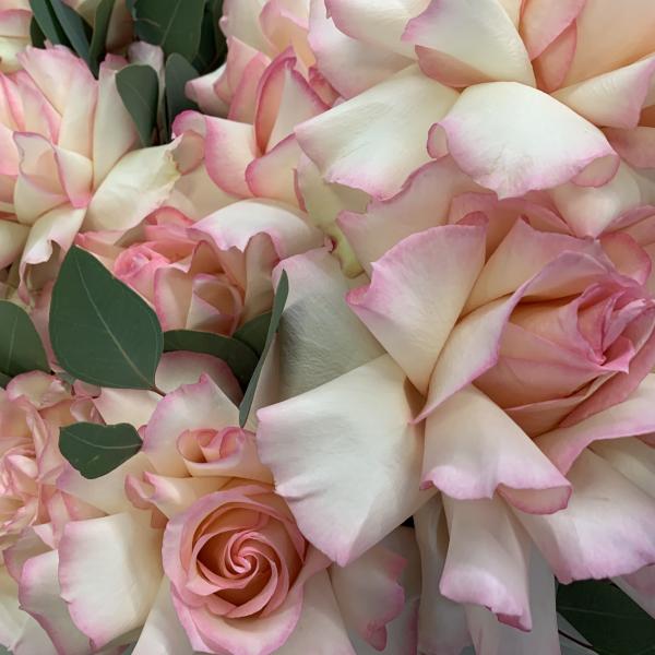 Французская роза и эвкалипт "Рандеву"