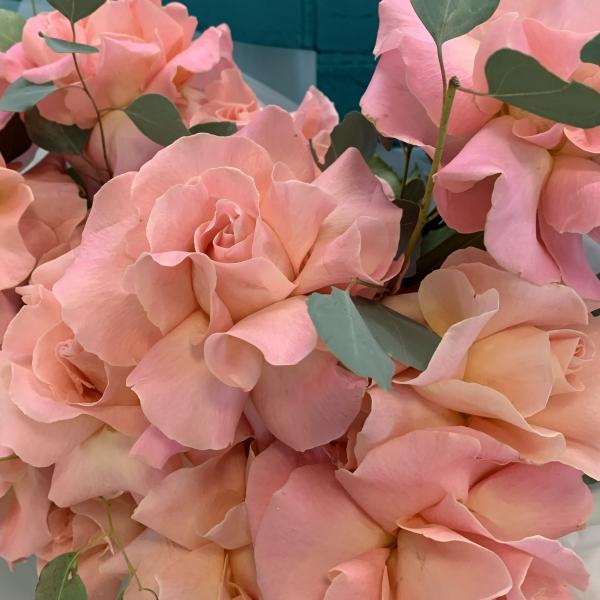 Французская роза и эвкалипт "Алый закат"