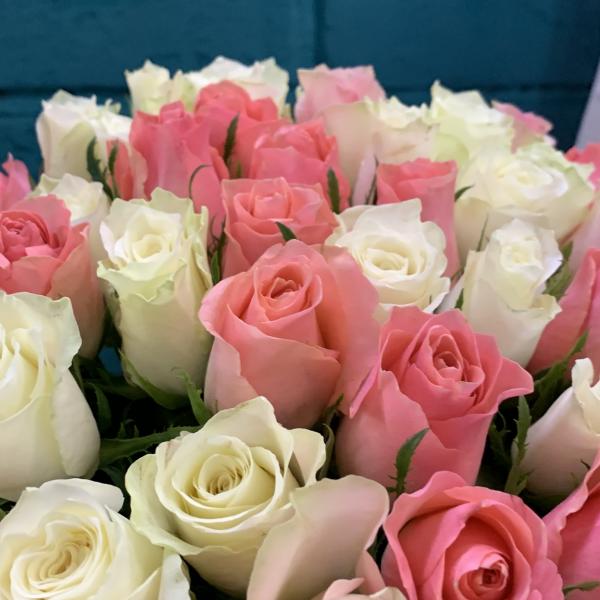 51 роза "Мягкий рассвет"