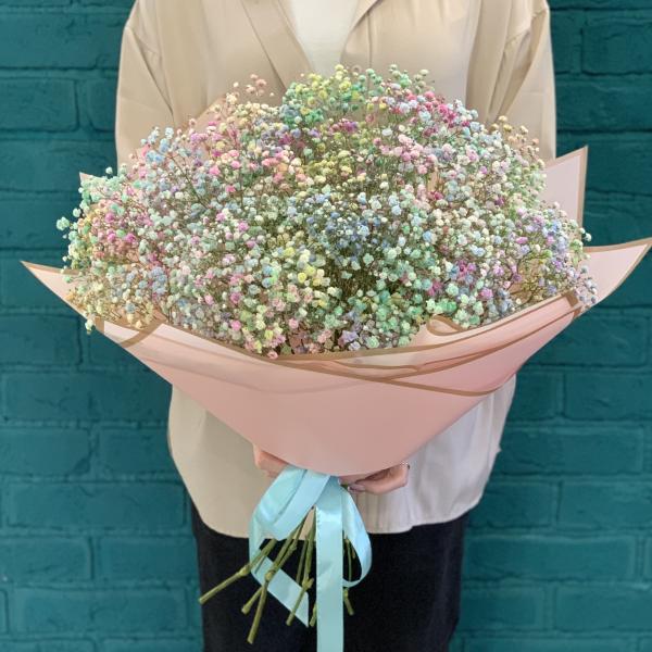 11 гипсофил "Радужная зефирка"