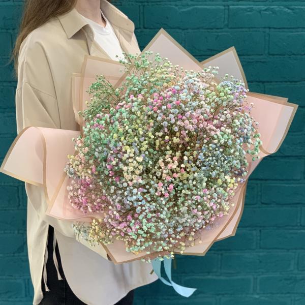 11 гипсофил "Радужная зефирка"