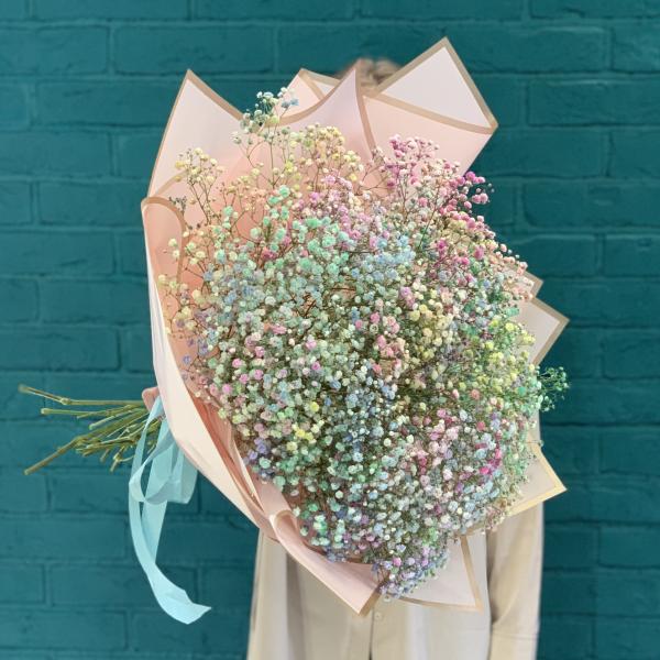 11 гипсофил "Радужная зефирка"