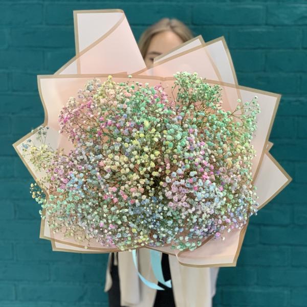 11 гипсофил "Радужная зефирка"