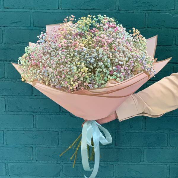 11 гипсофил "Радужная зефирка"