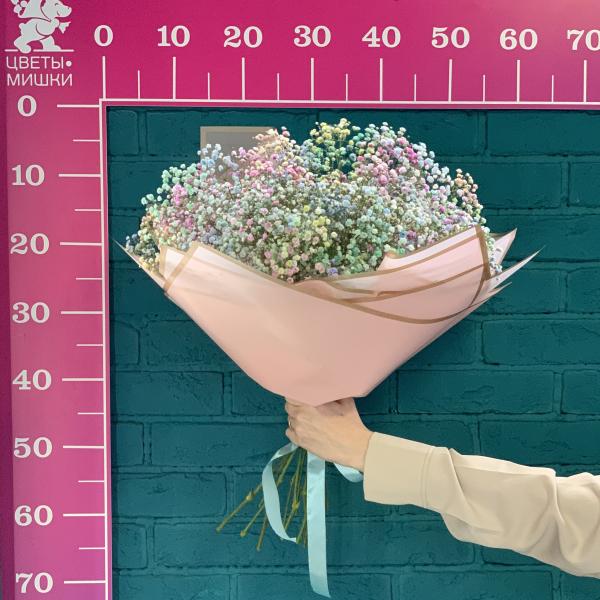 11 гипсофил "Радужная зефирка"