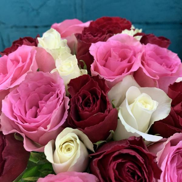 27 роз "Бурфи"