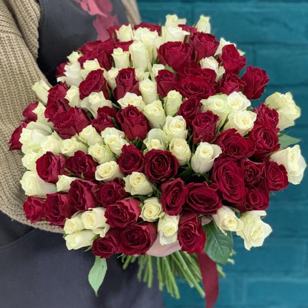 101 роза "Лёд и пламя"