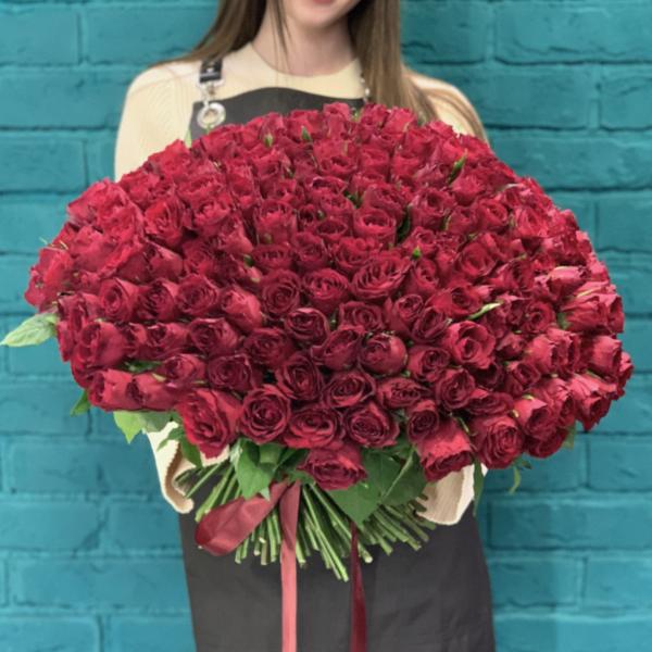 251 красная роза "Прости меня"