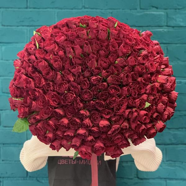 251 красная роза "Прости меня"