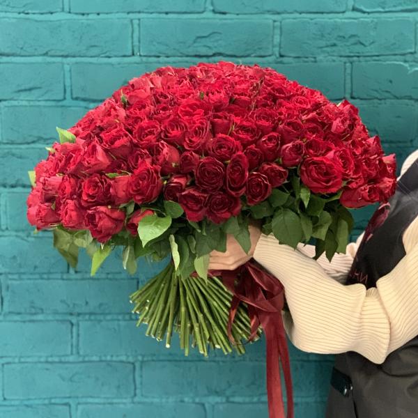 251 красная роза "Прости меня"