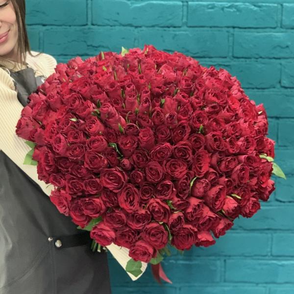 251 красная роза "Прости меня"