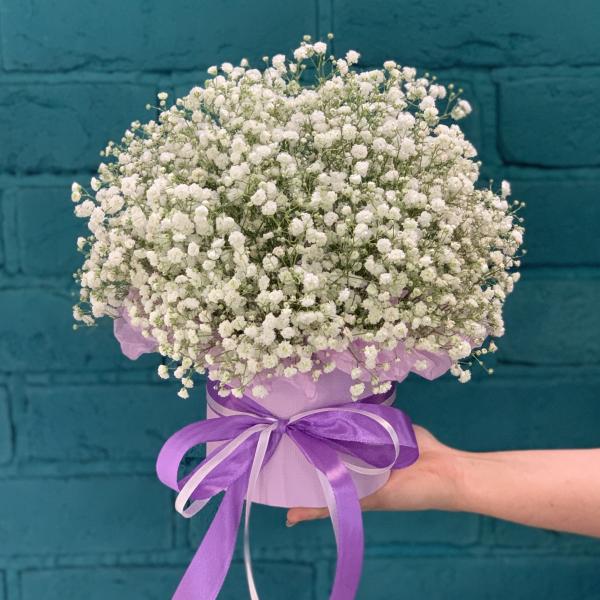 7 белых гипсофил "Детский мир"