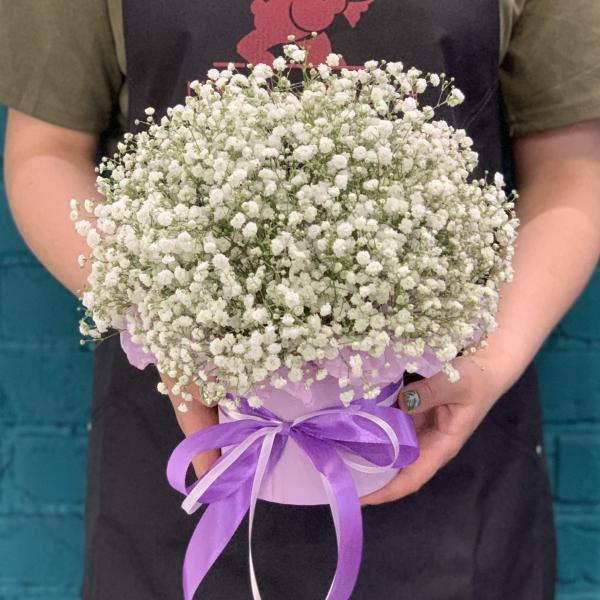 7 белых гипсофил "Детский мир"