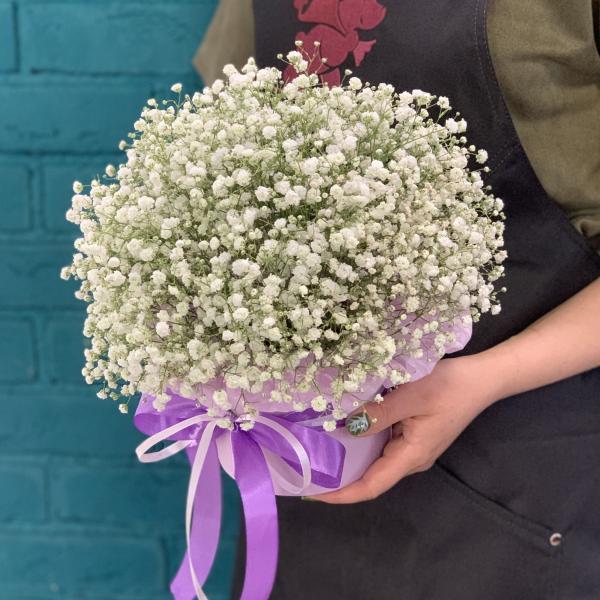 7 белых гипсофил "Детский мир"