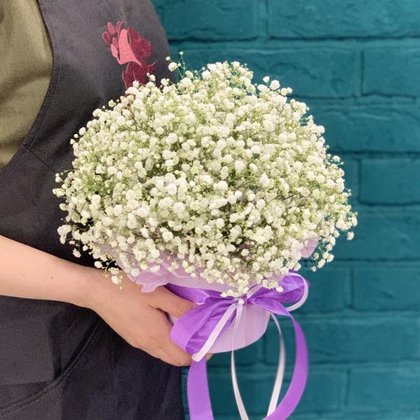 7 белых гипсофил "Детский мир"