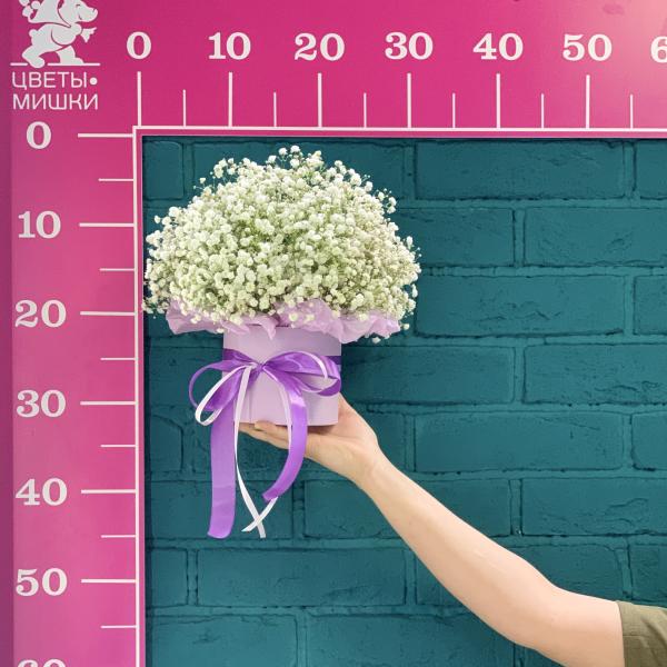 7 белых гипсофил "Детский мир"