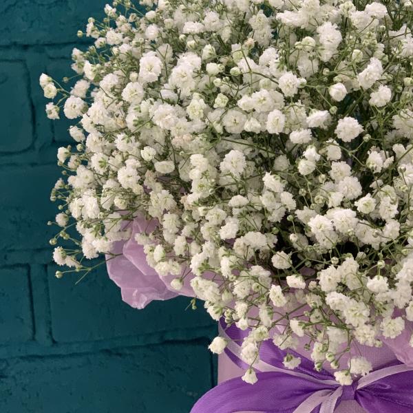 7 белых гипсофил "Детский мир"